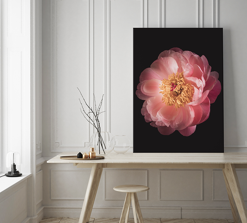 Roze bloemen op canvas