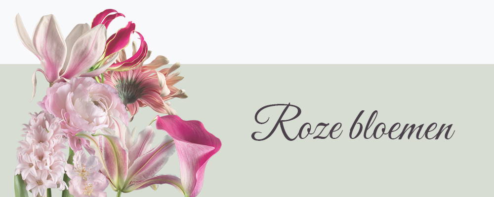Roze bloemen op canvas