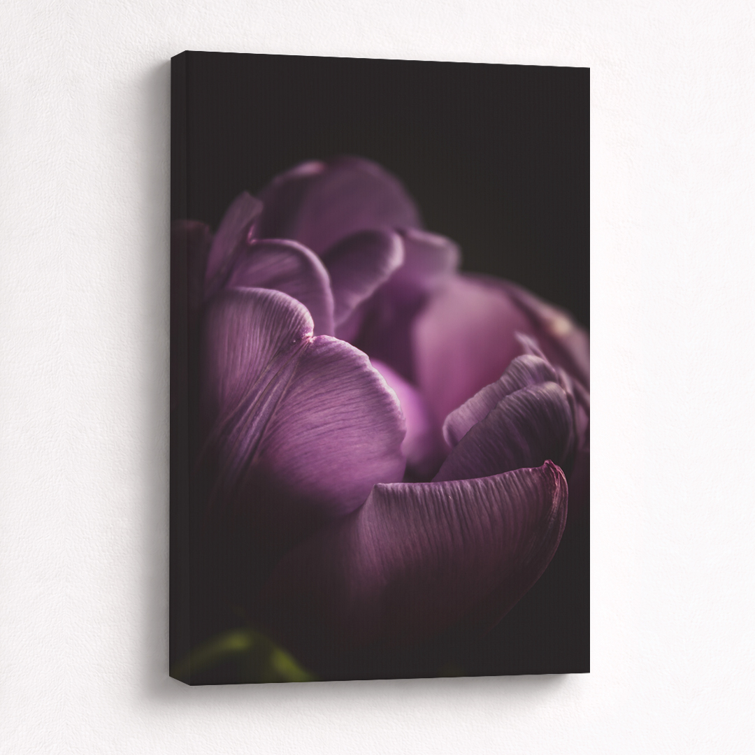 Canvas Schilderij Tulp Paars