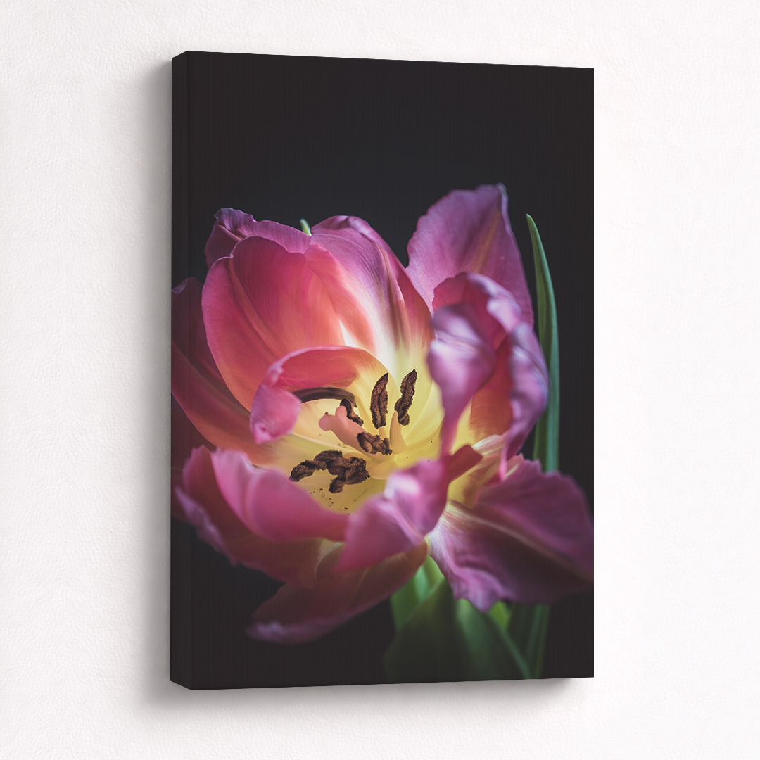 Canvas Schilderij Tulp Roze