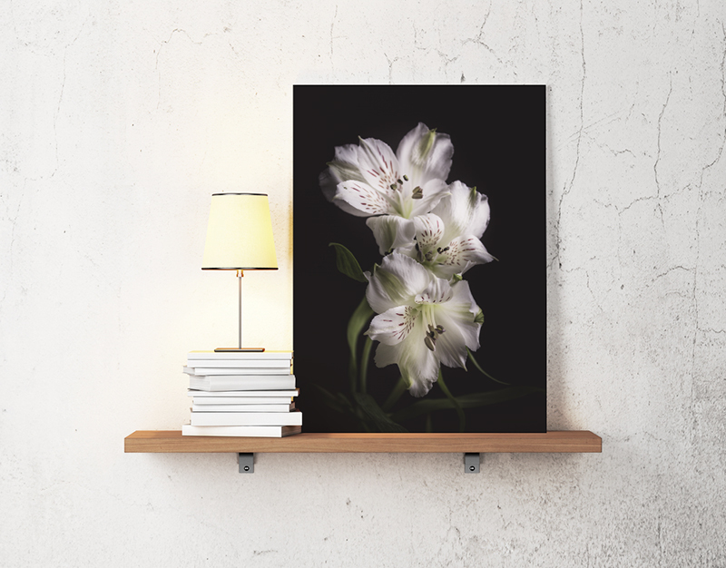 Witte bloemen op canvas