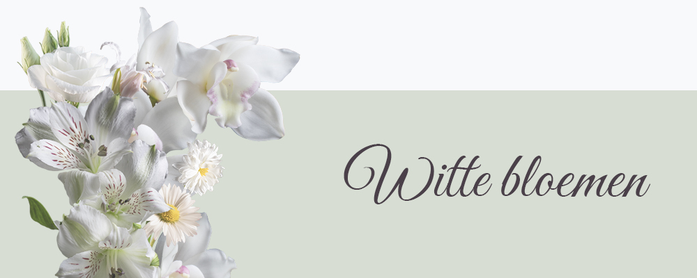 Witte bloemen op canvas