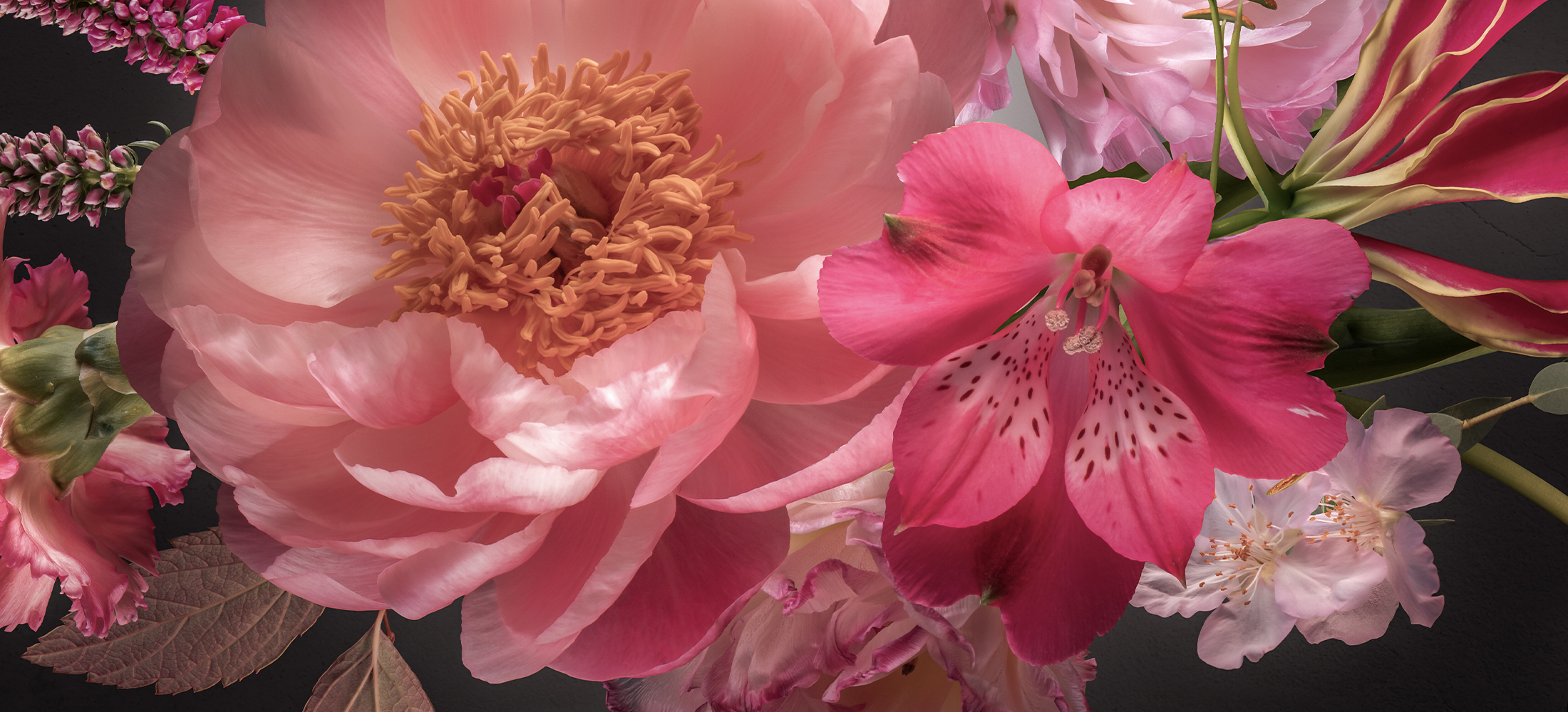 Bloemensoorten