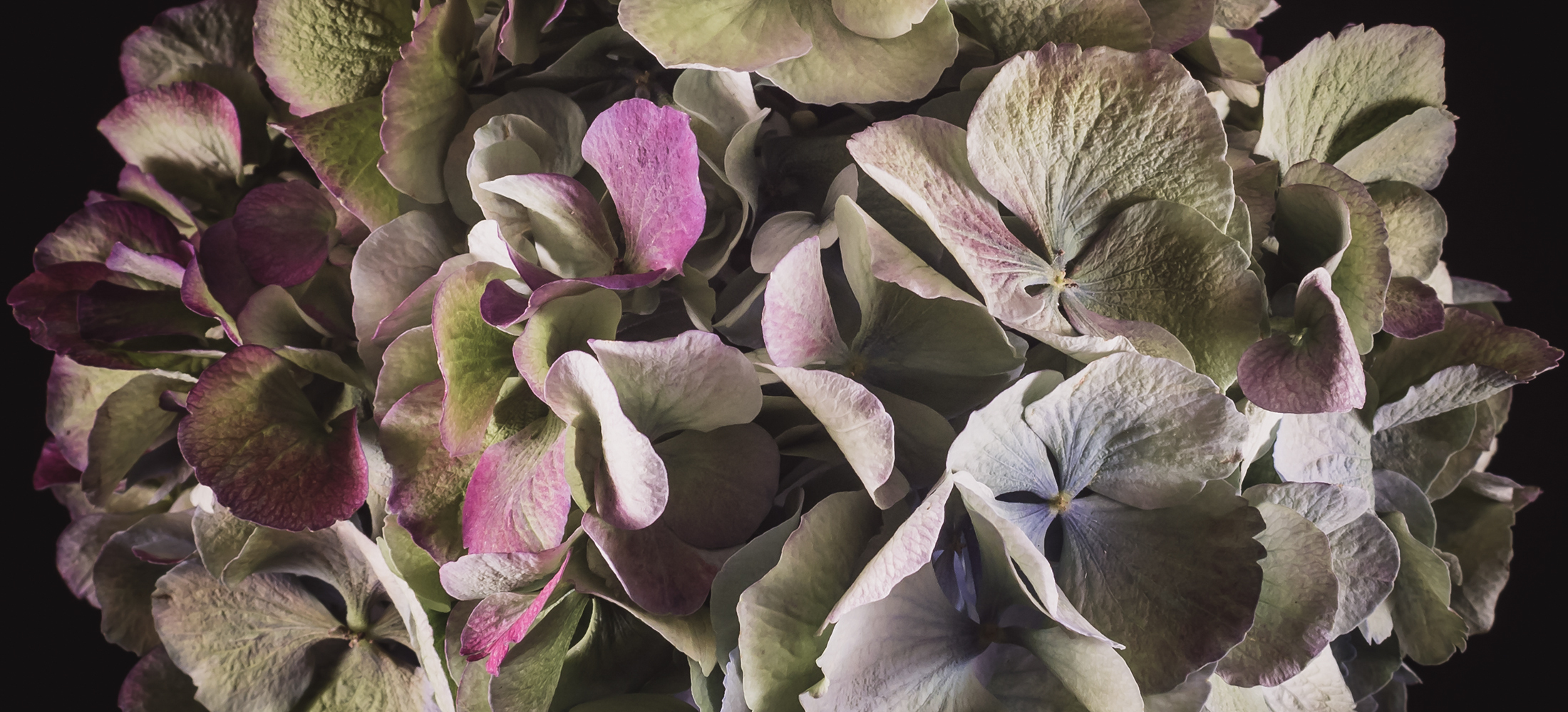 Bloemen op canvas