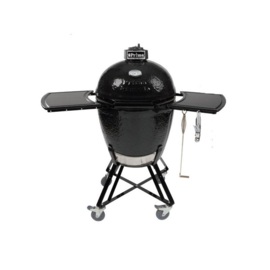 PRIMO GRILL ALL IN ONE