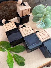 Car diffuser Spearmint & Eucalyptus