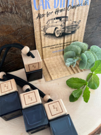 Car diffuser Spearmint & Eucalyptus