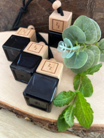 Car diffuser Spearmint & Eucalyptus
