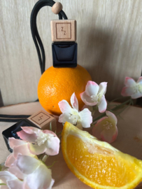 Car diffuser Blossom