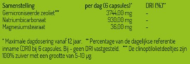 Detox Sana Intest