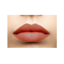 LIP CARE COLOUR MERLOT  | een roodbruine lippenstift in een warme tint met veel pigment