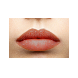LIP CARE COLOUR BURGUNDY | een donkerrode lippenstift in een warme en transparante tint