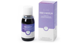 OLIGO RIBES NIGRUM | RP SANITAS HUMANUS