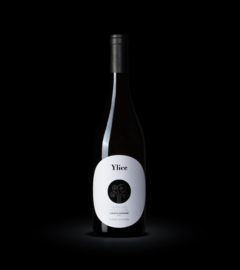 Verdicchio dei Castelli di Jesi DOC Classico Superiore