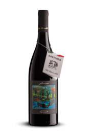 Vino Rosso IGT Veronese Amicus