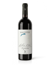 Magister Barbera d’Asti  Superiore DOCG
