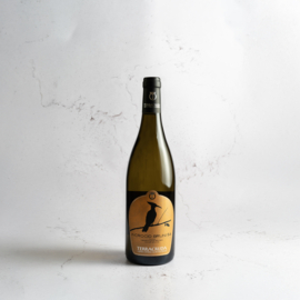 Incrocio Bruni 54 – Marche IGT
