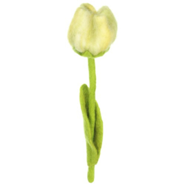 Vilten tulpen