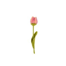 Vilten tulpen