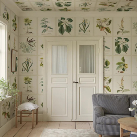 Flora
