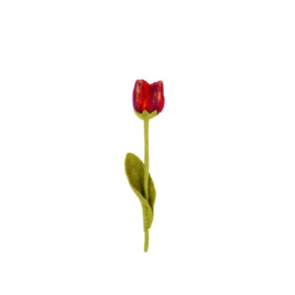 Vilten tulpen