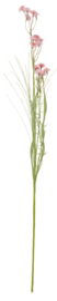 bloemen IB Laursen