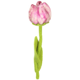 Vilten tulpen