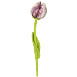 Vilten tulpen