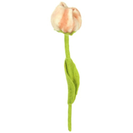 Vilten tulpen