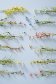 bloemen IB Laursen
