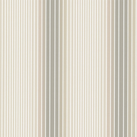 Ombré Stripe