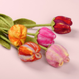 Vilten tulpen