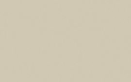 Sweet Treats by Little Greene Chocolate Colour 124