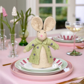 Funny bunnies