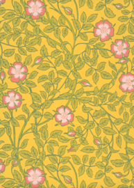 Briar Rose