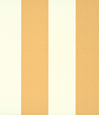 Broad Stripe