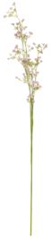 bloemen IB Laursen