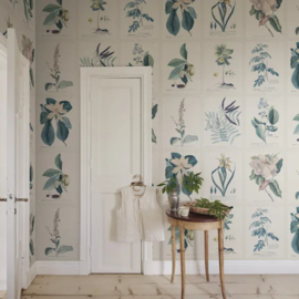 Flora