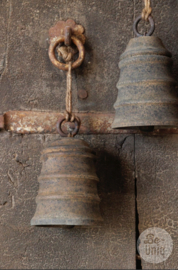 Bell Raijua L