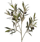 Olijventak 55cm
