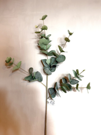 Kunsttak Eucalyptus spray 87cm