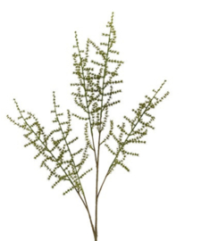 Kunst blad Asparagus setaseus L groen