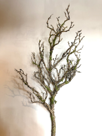 Kunsttak Birch branch 80cm
