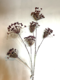 Kunsttak Queen Anne’s lace 115cm