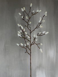 Magnolia tak 73cm