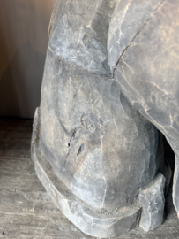 Luksa paarden hoofd Pepper