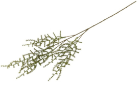 Kunst blad Asparagus setaseus L groen