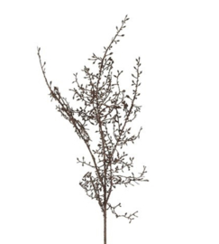 Kunst tak Corokia L d.bruin