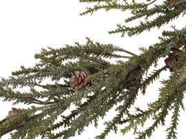 Kunst den Juniperus groen