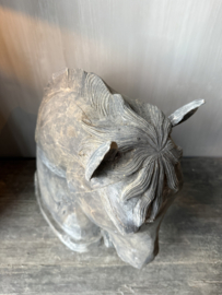 Luksa paarden hoofd Pepper